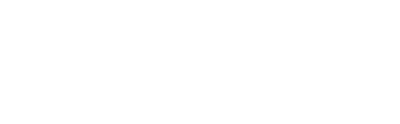 ProComm Solutions White Logo